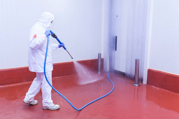 Best Soft Washing  in Wallace, FL